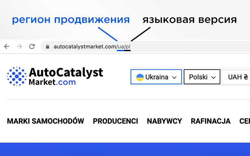 Как стать №1 по англоязычным запросам в Google в 244 странах: кейс AutoCatalys