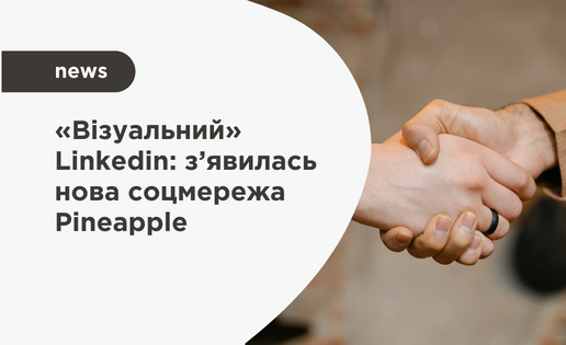Запущено нову соціальну платформу для молодих фахівців — Pineapple
