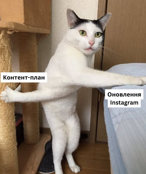 Мем гнучкість SMM