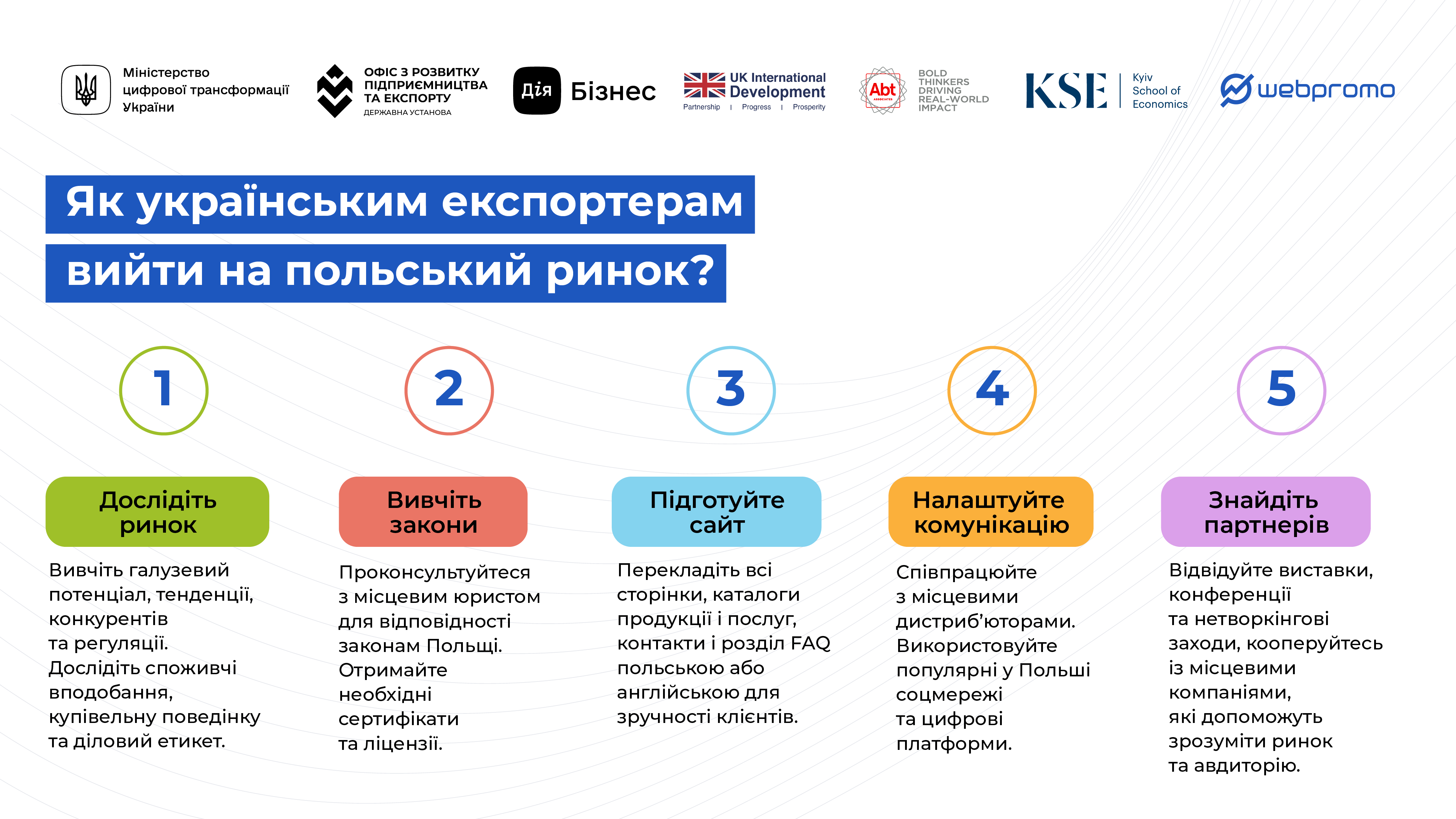 Как предприятиям из Украины добиться успеха на польском рынке: маркетинговые советы